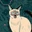 Profile picture for Denisa
