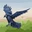 Profile picture for Tim